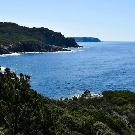 Le Port Confort Terrasse Clim Apartment Hyeres