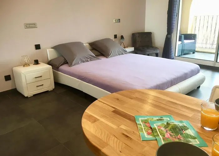 Le Port Confort Terrasse Clim Apartment *