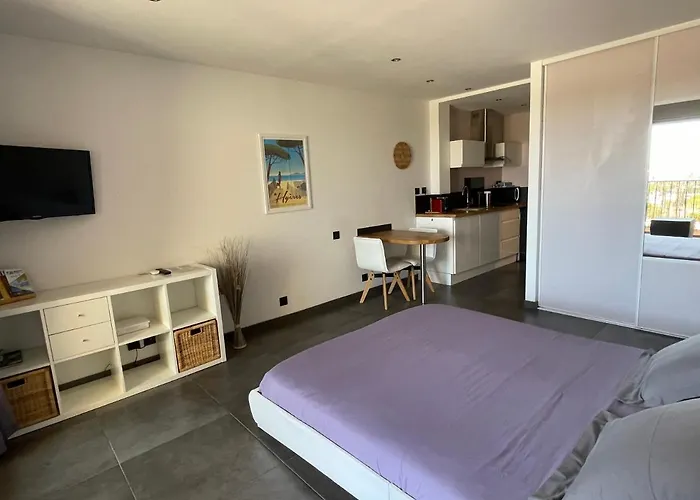 Le Port Confort Terrasse Clim *